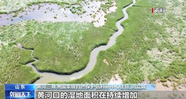 我国持续推进湿地保护,全国湿地面积稳定保持在5635万公顷以上