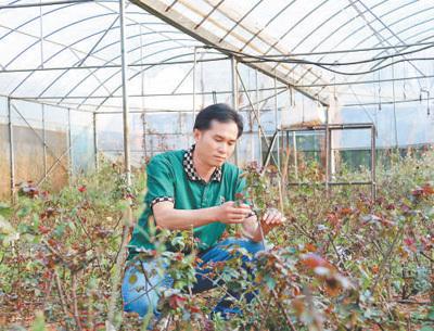 看，田间地头的“科技范儿”（国际人士看中国乡村全面振兴）